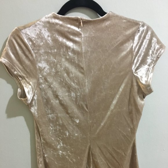 Cream Velvet Short Sleeve Dress - Item#26 - Picture 4 of 5